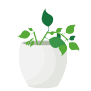 3.第三步：类目环境分析.xlsx