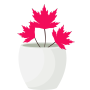 typical price的定义