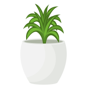 1独立站–联盟营销