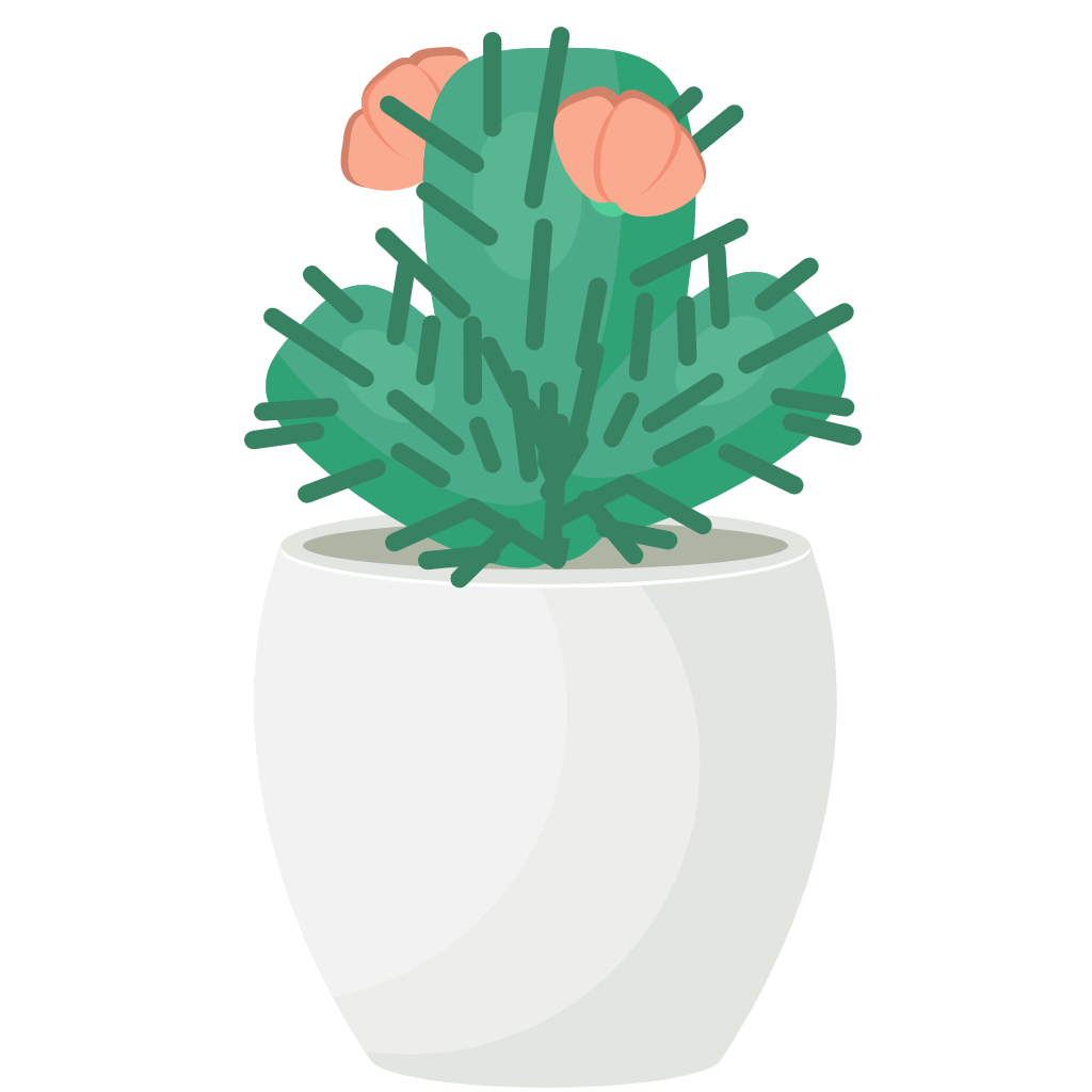 SIPP自有包装注册方法